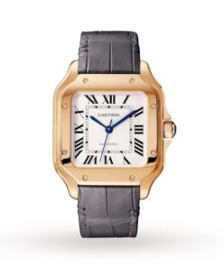 Cartier Santos de Cartier Men Automatic Silver Alligator Watch WGSA0012