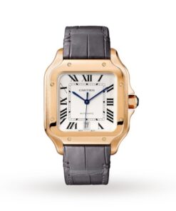 Cartier Santos de Cartier Men Automatic Silver Alligator Watch WGSA0019