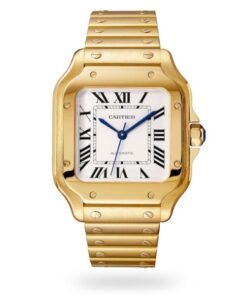Cartier Santos de Cartier Men Automatic Silver 18ct Gold Watch WGSA0030