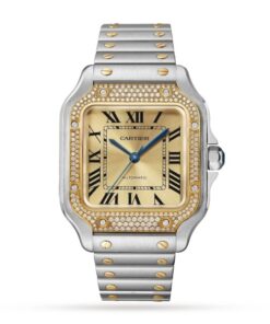 Cartier Santos de Cartier Women Automatic Gold Watch W3SA0007