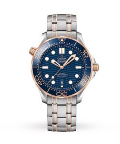 Omega Seamaster Men Automatic Blue Stainless Steel Watch O21020422003002
