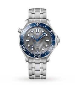 Omega Seamaster Men Automatic Grey Stainless Steel Watch O21030422006001