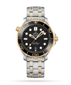 Omega Seamaster Men Automatic Black Gold Plated Watch O21020422001002