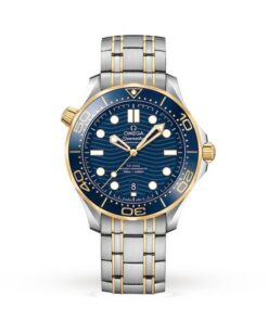 Omega Seamaster Men Automatic Blue Stainless Steel Watch O21020422003001
