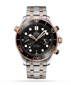 Omega Seamaster Men Automatic Black Stainless Steel & 18ct Yellow Gold Watch O21020445101001